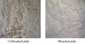 Pulp bleaching process